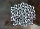 Hex Nuts